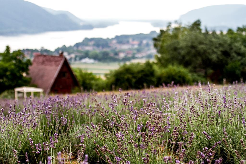 Natura Hill Panzió&Slow Food Fine Bistro Zebegény Exterior foto
